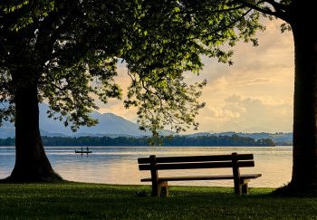 How Can We Train Our Thoughts to Be at Peace?