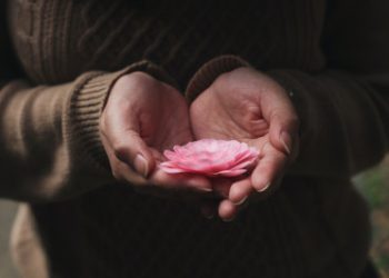 Why Do We Meditate? What Do We Gain from It? (English Subtitle)