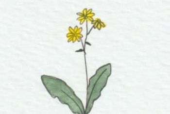 Like the grass along the roadside…