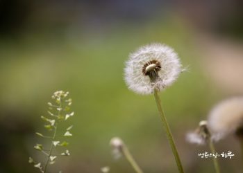 Life and Death Are Nothing More than a Change in Form