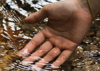 Do the function senses pause during meditation?