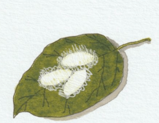 Stuck in Your Thoughts