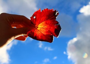 [Meditation Q&A] Is it possible to erase or lessen our karma in this lifetime?