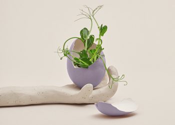 Everything That Has Already Happened Is Always For The Best