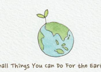 Small Things You Can Do For the Earth