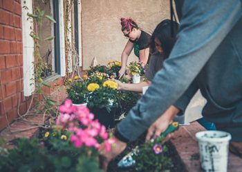 [Meditation Q&A] “Farming gives me great peace and satisfaction.How can we incorporate the routine?”