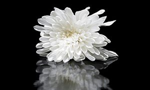 My Son, Declared Brain Dead, Passed Away And I Was Diagnosed With Advanced Cancer