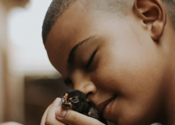 [Meditation Q&A] “I feel too self-conscious to share my feelings”