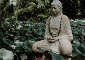 [Meditation Q&A] Did the Buddha attain enlightenment by focusing on his breath?