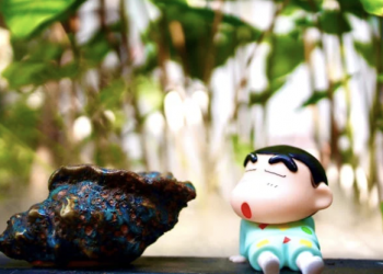 [Meditation Q&A] How to manage an outsized ego?